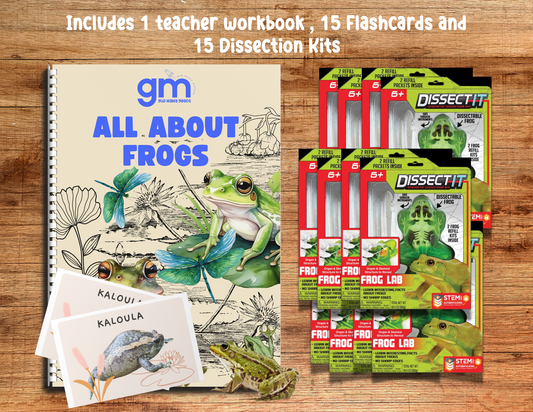 15 Student Frog Discovery Kit Childcare Center Bundle