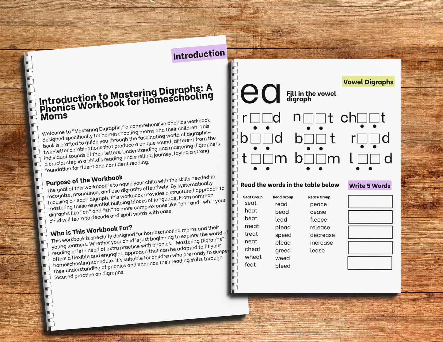 Digraphs Mastery Dry-Erase Book