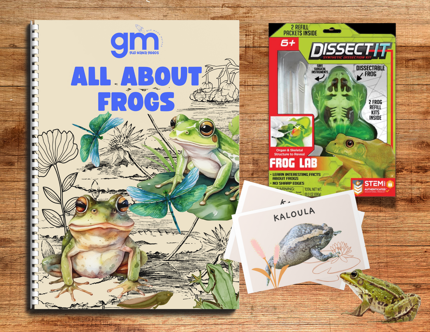 15 Student Frog Discovery Kit Childcare Center Bundle