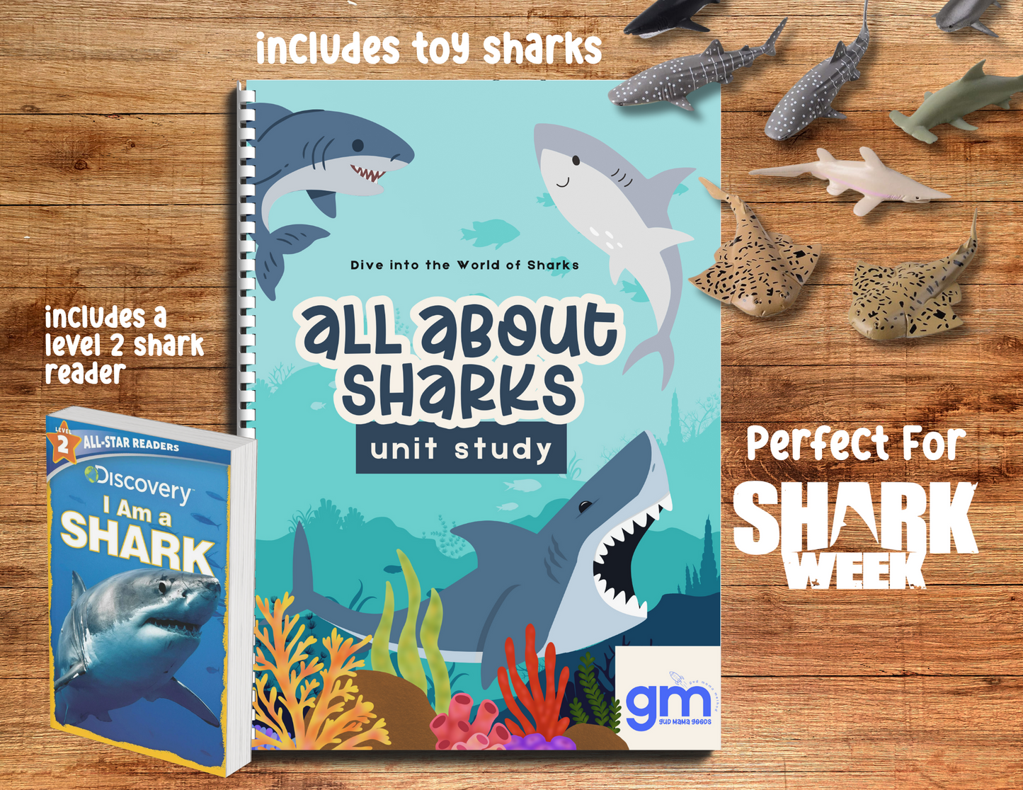 All About Sharks Learning Kit: includes toy sharks, a short book and full workbook